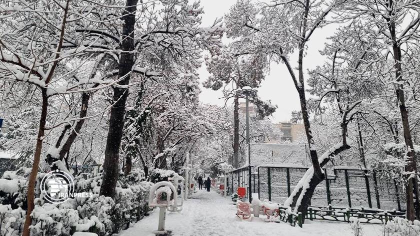 Iranpress: Snow falling, Tehran coated
