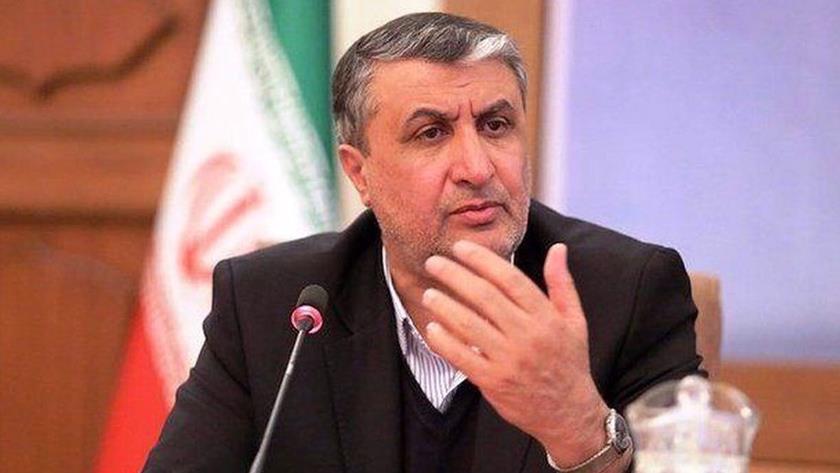 Iranpress: AEOI chief reacts to probable anti-Iran BOG resolution
