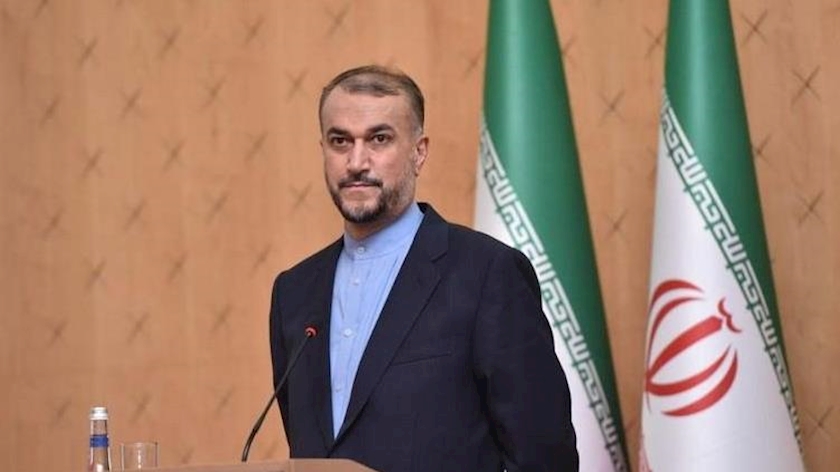 Iranpress: FM: There is alternative project in case of failure of JCPOA talks