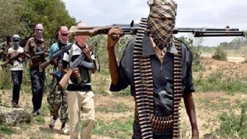 Iranpress: Militant attack leaves several dead in southeast of Nigeria
