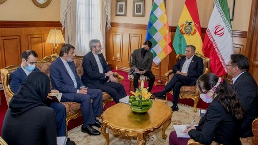 Iranpress: Bagheri Kani meets Bolivian high ranking officials to boost ties