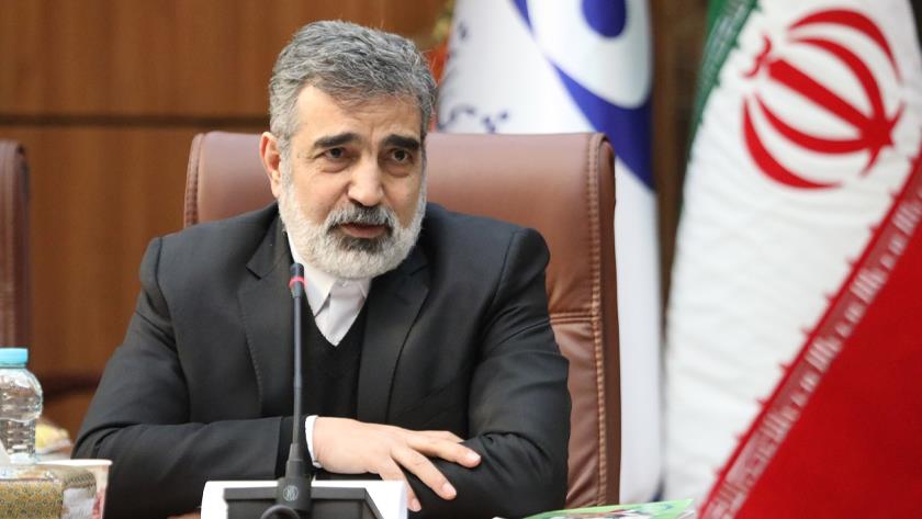 Iranpress: AEOI Spox rejects individuals’ access to Iran’s nuclear sites