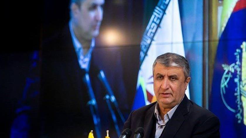 Iranpress: Eslami says IAEA monitoring is within Iran