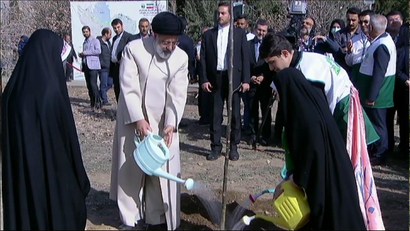 Iranpress: Raisi plants sapling to mark National Tree Planting Day