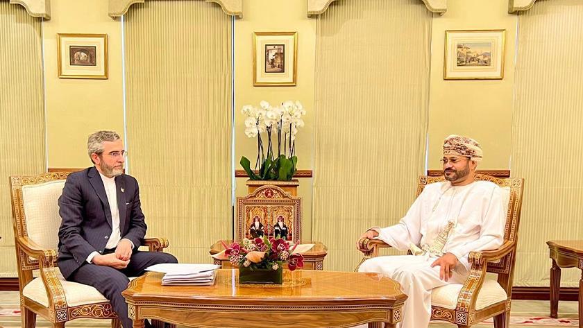 Iranpress: Bagheri meets Omani FM in Muscat