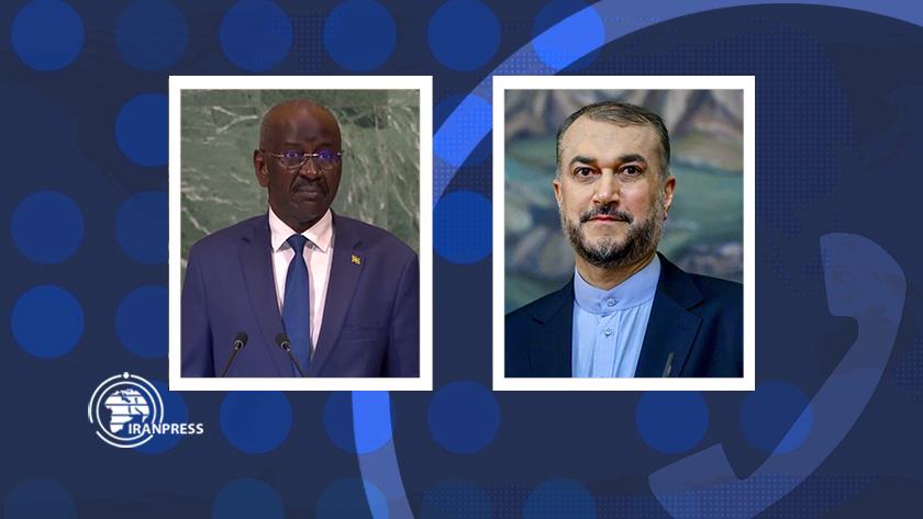 Iranpress: Iran, Mauritania confer on OIC emergency meeting in phone call