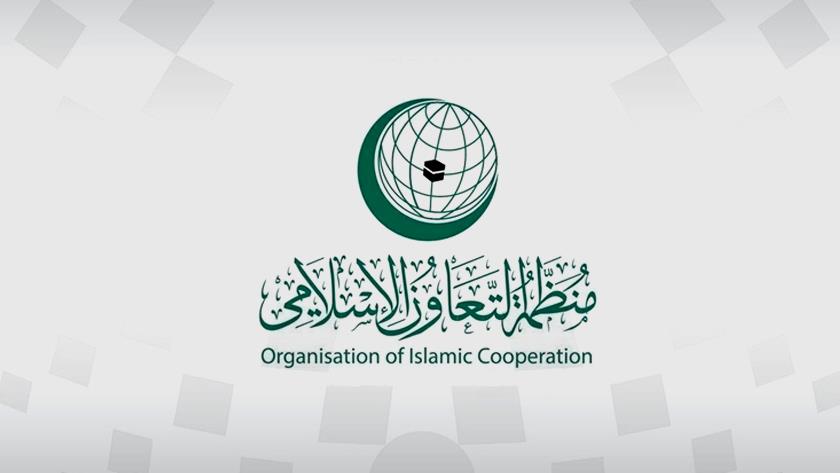 Iranpress: Organization of Islamic Cooperation denounces Israeli attacks on Gaza