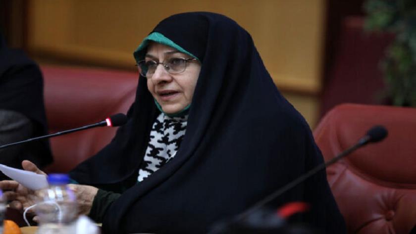 Iranpress: New bill protects women against violence