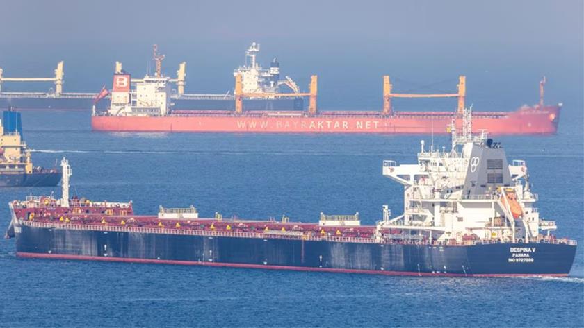 Iranpress: G7 calls for extension of Black Sea grain deal