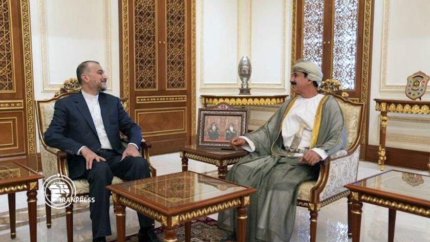 Iranpress: Iran FM meets Oman’s minister of royal office to discuss bilateral ties