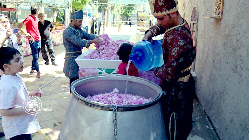 Iranpress: Rosewater festival underway in capital of Iran 