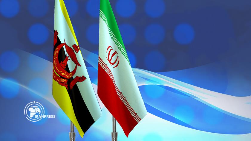 Iranpress: Iran, Brunei to Boost Cooperation in Medicinal Plants, Traditional Medicine
