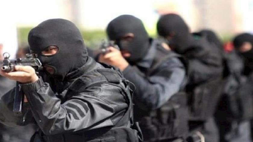 Iranpress: Terrorist team dismantled in southeast Iran