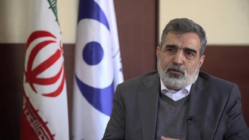 Iranpress: AEOI spox says West lies about nuclear negotiations priority 