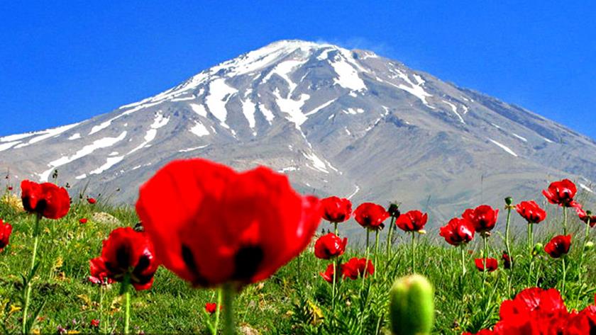 Iranpress: Iranians celebrate National Mount Damavand Day
