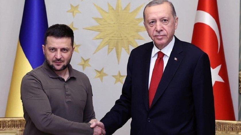 Iranpress: Zelensky, Erdogan meet in Istanbul
