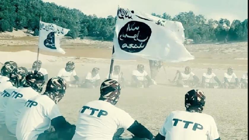 Iranpress: Pakistan: Taliban takes measures to neutralize TTP