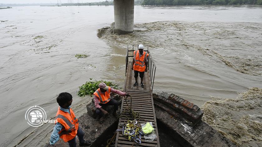 Iranpress: Flood fear in Delhi as Yamuna River rises to its highest in 10 years