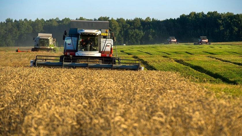 Iranpress: Russia, Venezuela negotiate resuming supplies of Russian wheat