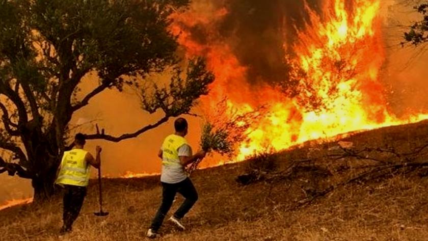 Iranpress: Wildfires in Algeria leave at least 34 people dead and hundreds injured