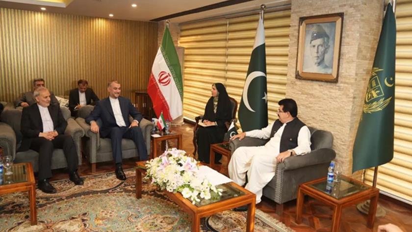 Iranpress: Iran has no restriction for all-round expansion of ties with Pakistan
