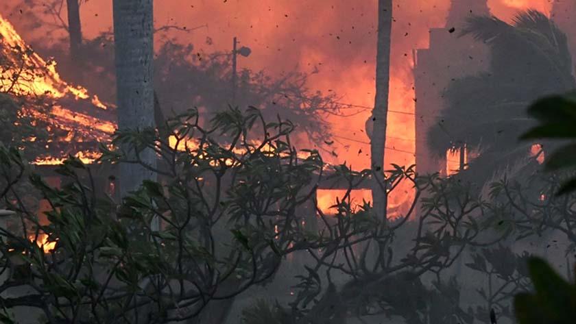 Iranpress: At least 55 dead as fires ravage in Hawaii