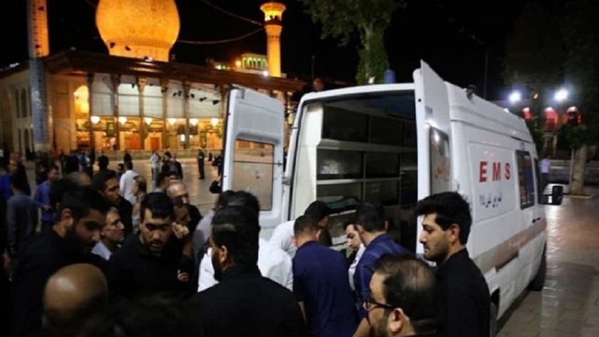 Iranpress: EU, France and Russia condemn Shiraz terrorist attack 