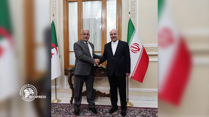 Iranpress: Iranian Parl. Speaker receives his Algerian counterpart