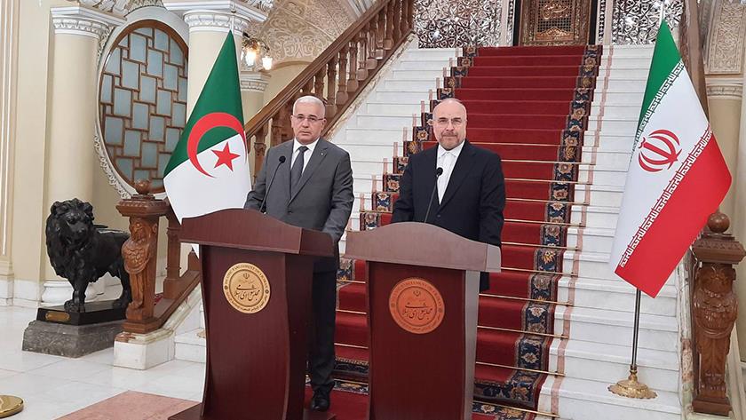 Iranpress: Iran, Algeria Parl. Speakers hold joint presser