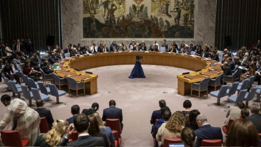 Iranpress: Russia vetoes UNSC resolution on sanctions against Mali