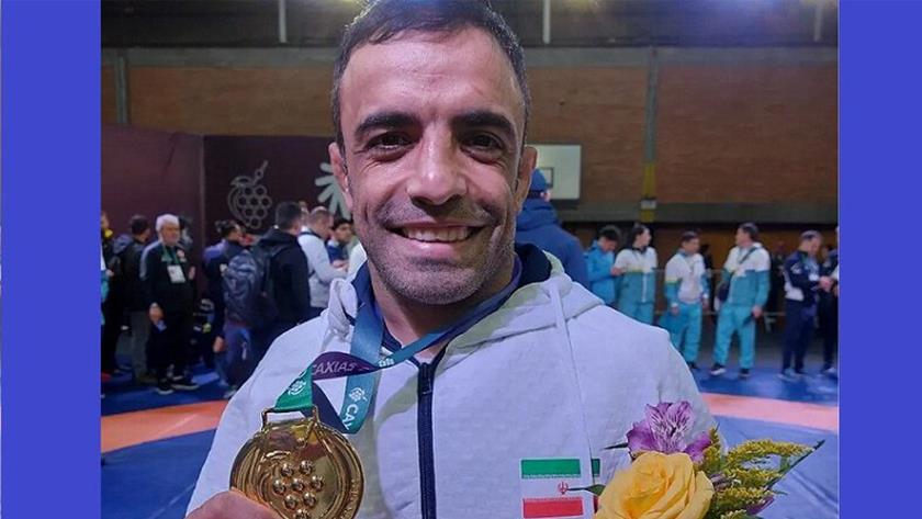Iranpress: Iran wins a gold medal in wrestling championships