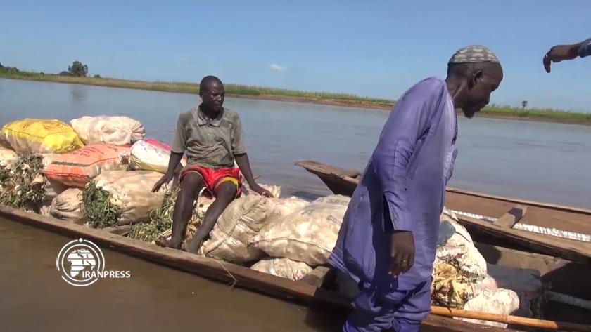 Iranpress: More than 100 die in river in Nigeria