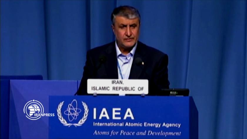 Iranpress: Eslami: Zionist regime has jeopardized the credibility of NPT, IAEA