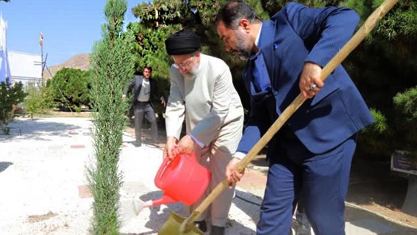 Iranpress: President Raisi plants tree in Mobarake steel complex