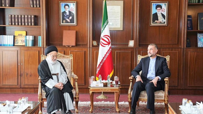 Iranpress: FM hails role of resistance in regional equations as irreplaceable