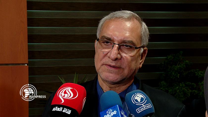 Iranpress: Iran, successful in producing nanotechnology medicines: Health minister