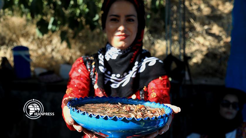 Iranpress: Walnut festival in Heidare Ghazi Khan tourist village