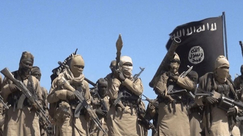 Iranpress: Insurgents kill Nigerien soldiers near Mali border