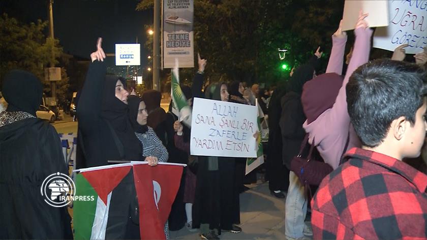 Iranpress: Turkish citizens support Palestine