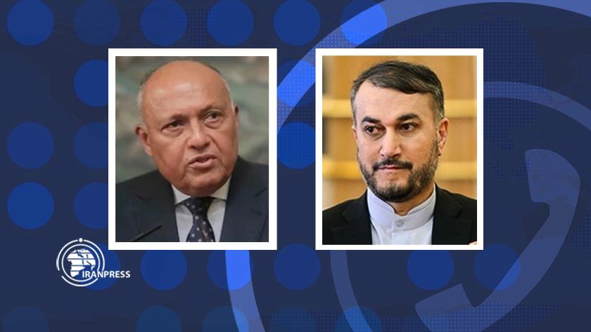 Iranpress: Iran, Egypt FMs confer on Gaza developments 