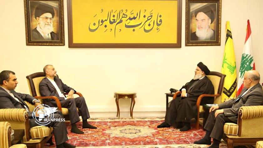 Iranpress: Iranian FM consult with Sayyed Nasrallah on latest Gaza War