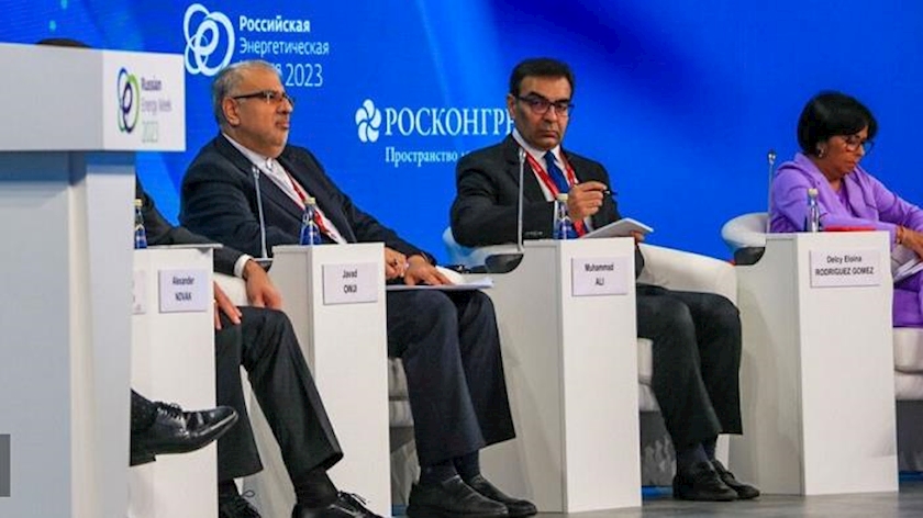 Iranpress: Iran-Russia cooperation contributes to regional progress: Owji