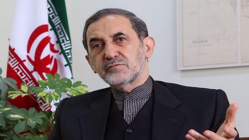 Iranpress: Adviser to Iran