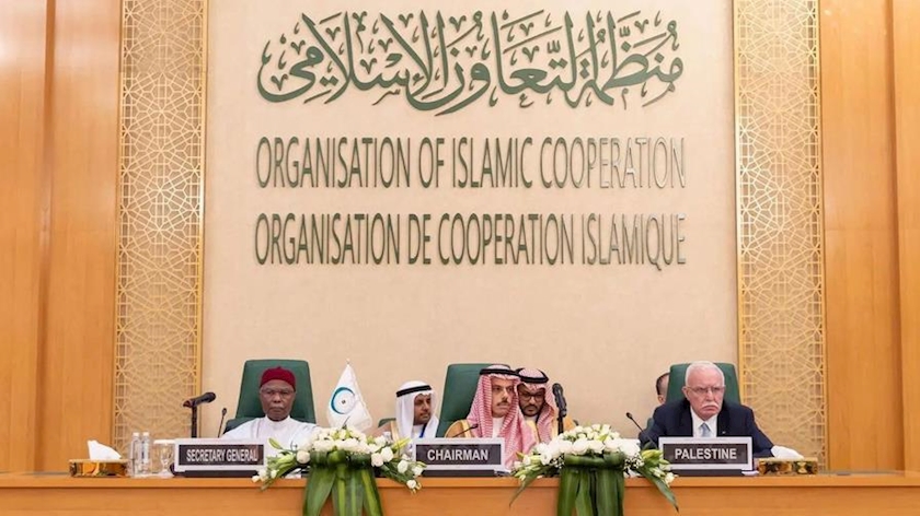 Iranpress: OIC stresses on Palestinian rights for self-defense against Israel