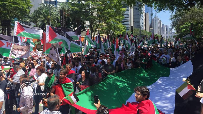 Iranpress: Supporters of Palestine in Brazil sympathize with Gaza 