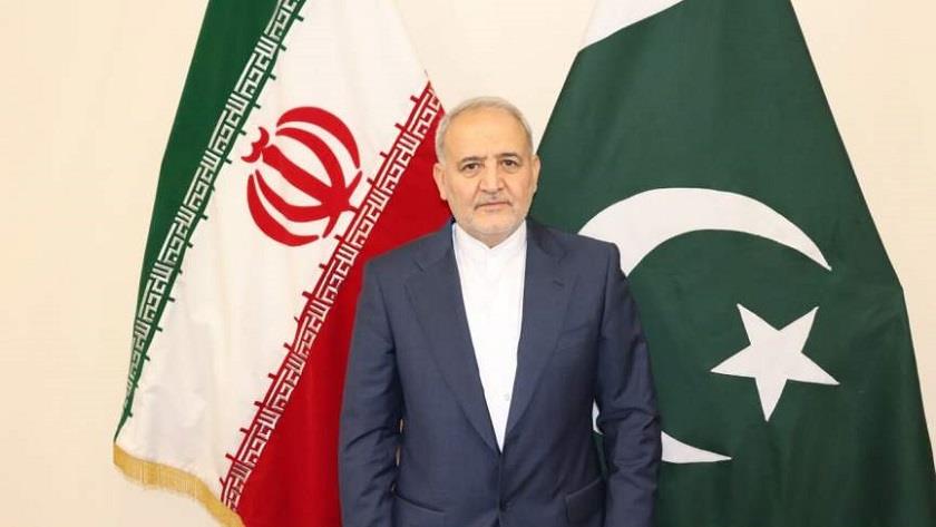 Iranpress: Iranian envoy calls on regional countries to convey Israeli atrocities 