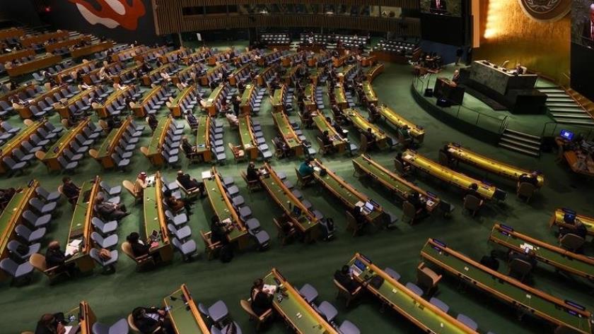 Iranpress: UN General Assembly ratifies draft resolution of Arab states on Gaza