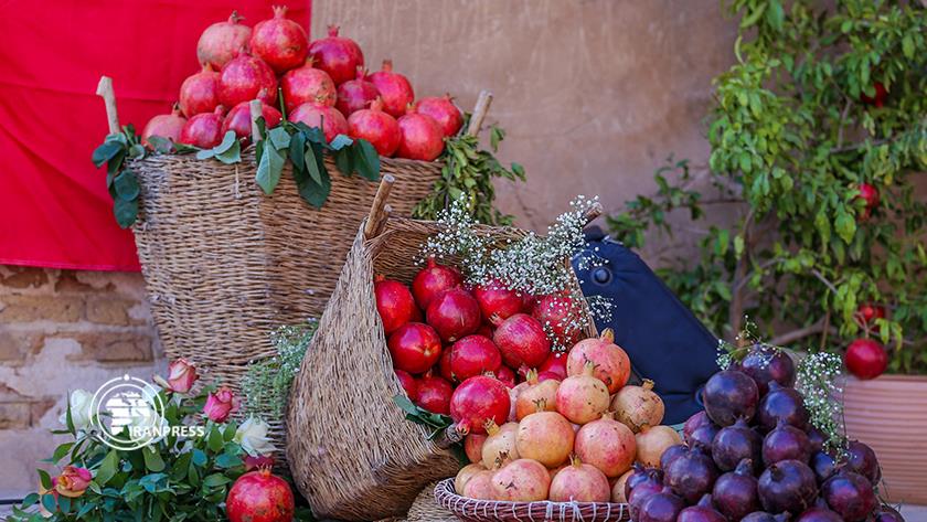 Iranpress: Saveh Pomegranate festival