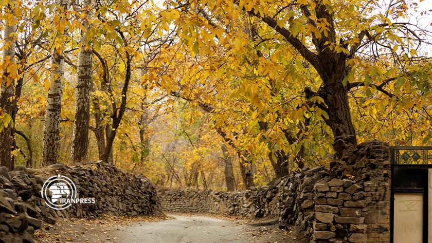 Iranpress: Wonderful colours of autumn in Iran Hamedan