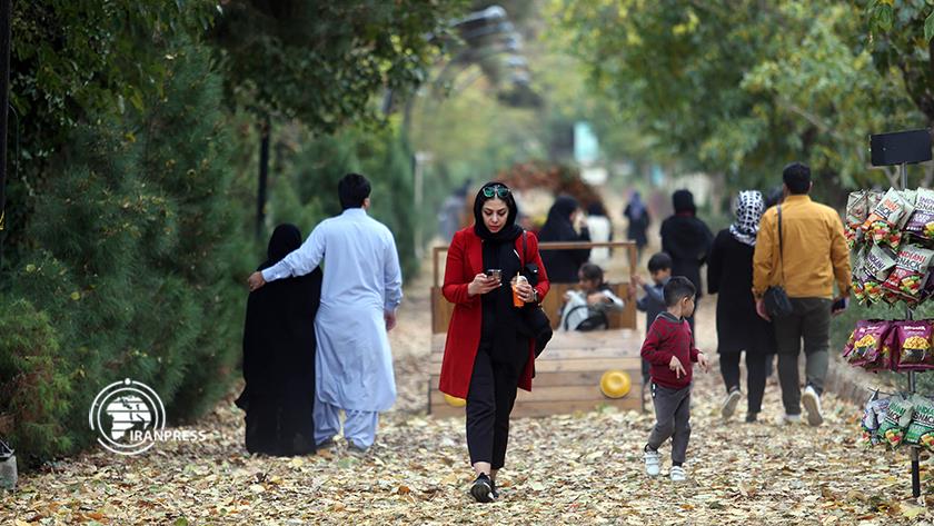 Iranpress: Mashhad Garden welcomes tourists with colorful autumn beauties